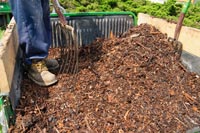 The mulch is available for $10 per scoop (one scoop will fill up the bed of a large pickup truck).